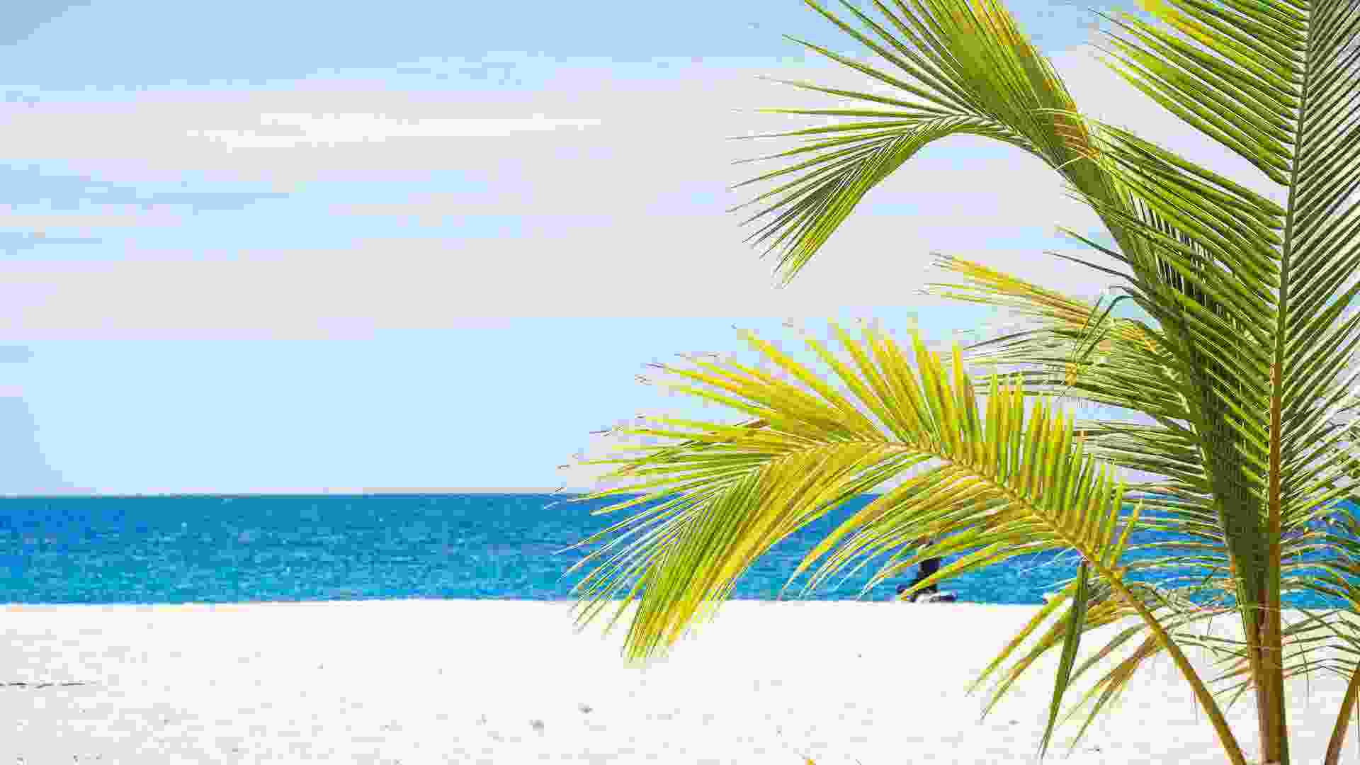 banner1